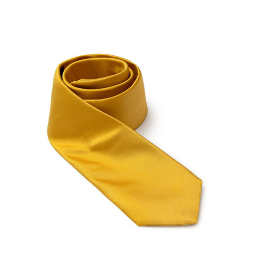 Dolce & Gabbana Gold Silk Ties & Bowties