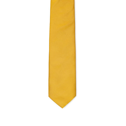 Dolce & Gabbana Gold Silk Ties & Bowties