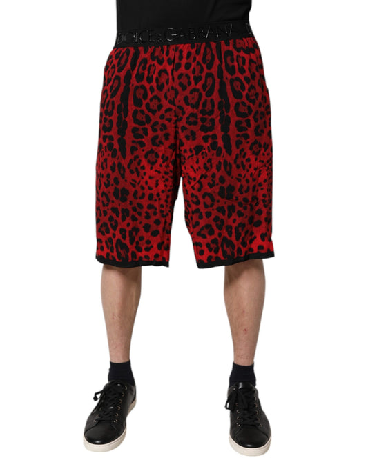 Dolce & Gabbana Red Leopard Print Bermuda Shorts