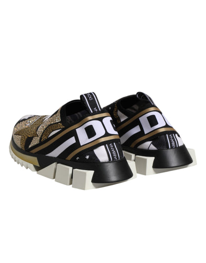 Dolce & Gabbana Multicolor Sorrento Low Top Sneakers
