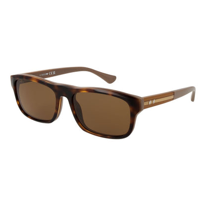 Web Brown Designer Sunglasses for Men