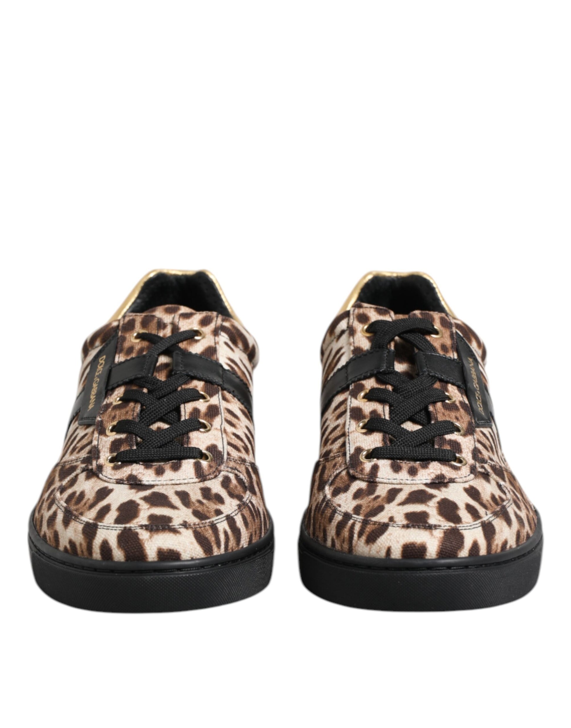 Dolce & Gabbana Brown Leopard Logo Print Cotton Sneakers