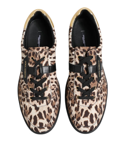 Dolce & Gabbana Brown Leopard Logo Print Cotton Sneakers