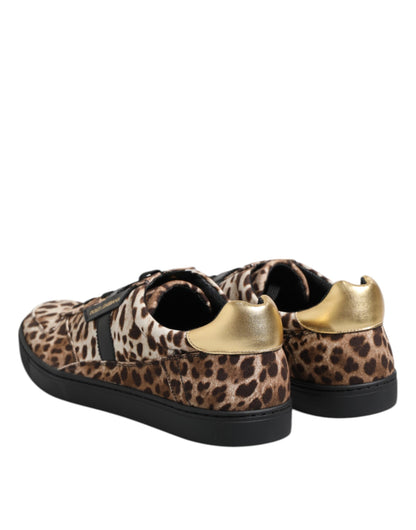 Dolce & Gabbana Brown Leopard Logo Print Cotton Sneakers