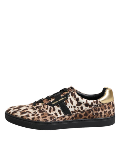 Dolce & Gabbana Brown Leopard Logo Print Cotton Sneakers