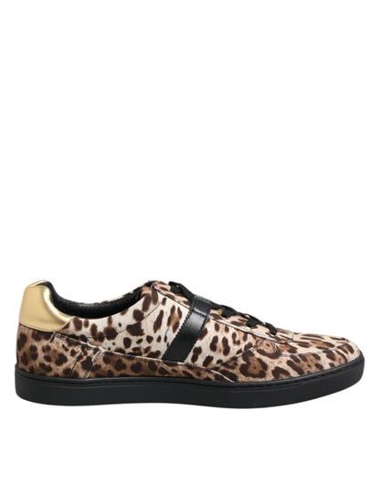 Dolce & Gabbana Brown Leopard Logo Print Cotton Sneakers