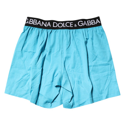 Dolce & Gabbana Blue Logo Waist Regular Boxer Shorts