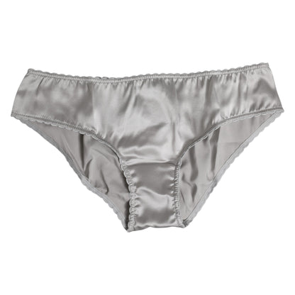 Dolce & Gabbana Gray Silk Stretch Low Waist Panty Underwear