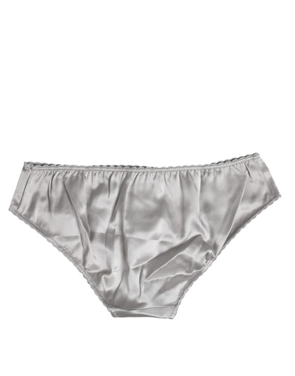 Dolce & Gabbana Gray Silk Stretch Low Waist Panty Underwear