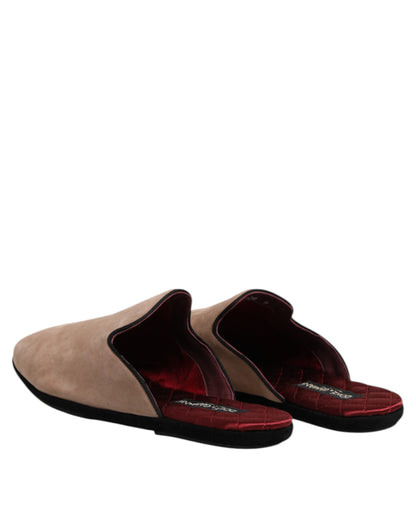 Dolce & Gabbana Beige Capra Suede Slides