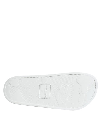 Dolce & Gabbana White Black Leather Sandals