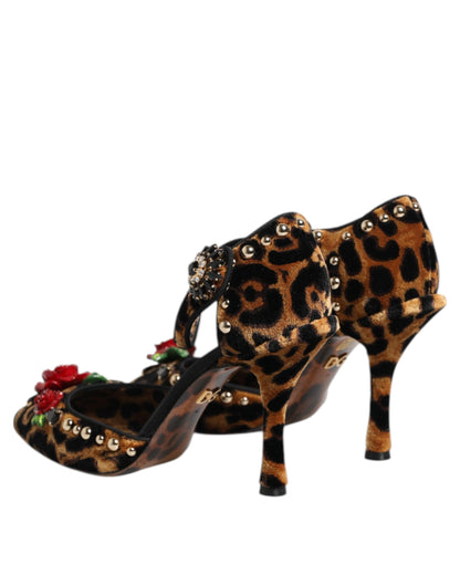 Dolce & Gabbana Brown Leopard Crystal Roses Pumps