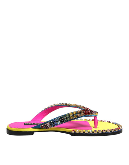 Dolce & Gabbana Multicolor Rhinestone Flip Flop Flat Sandals