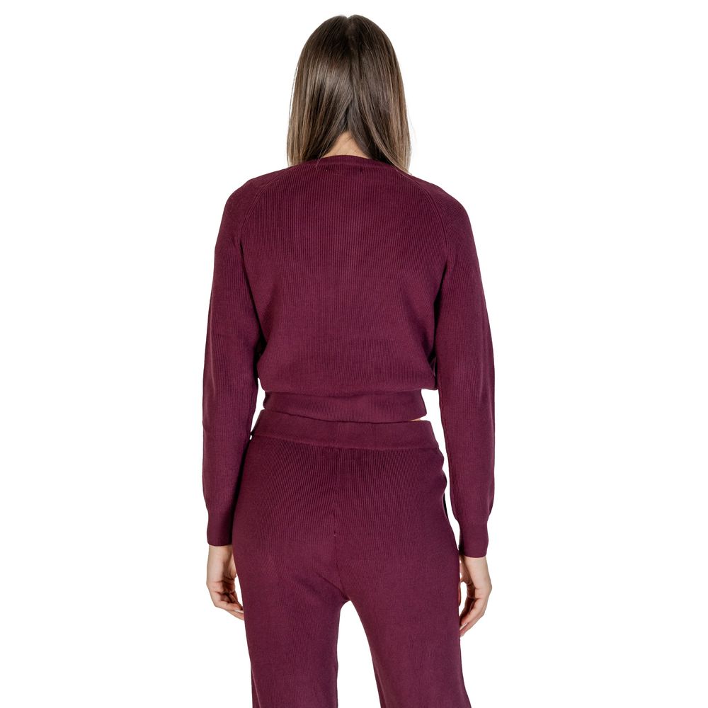 Cleré Purple Viscose Sweater for Women