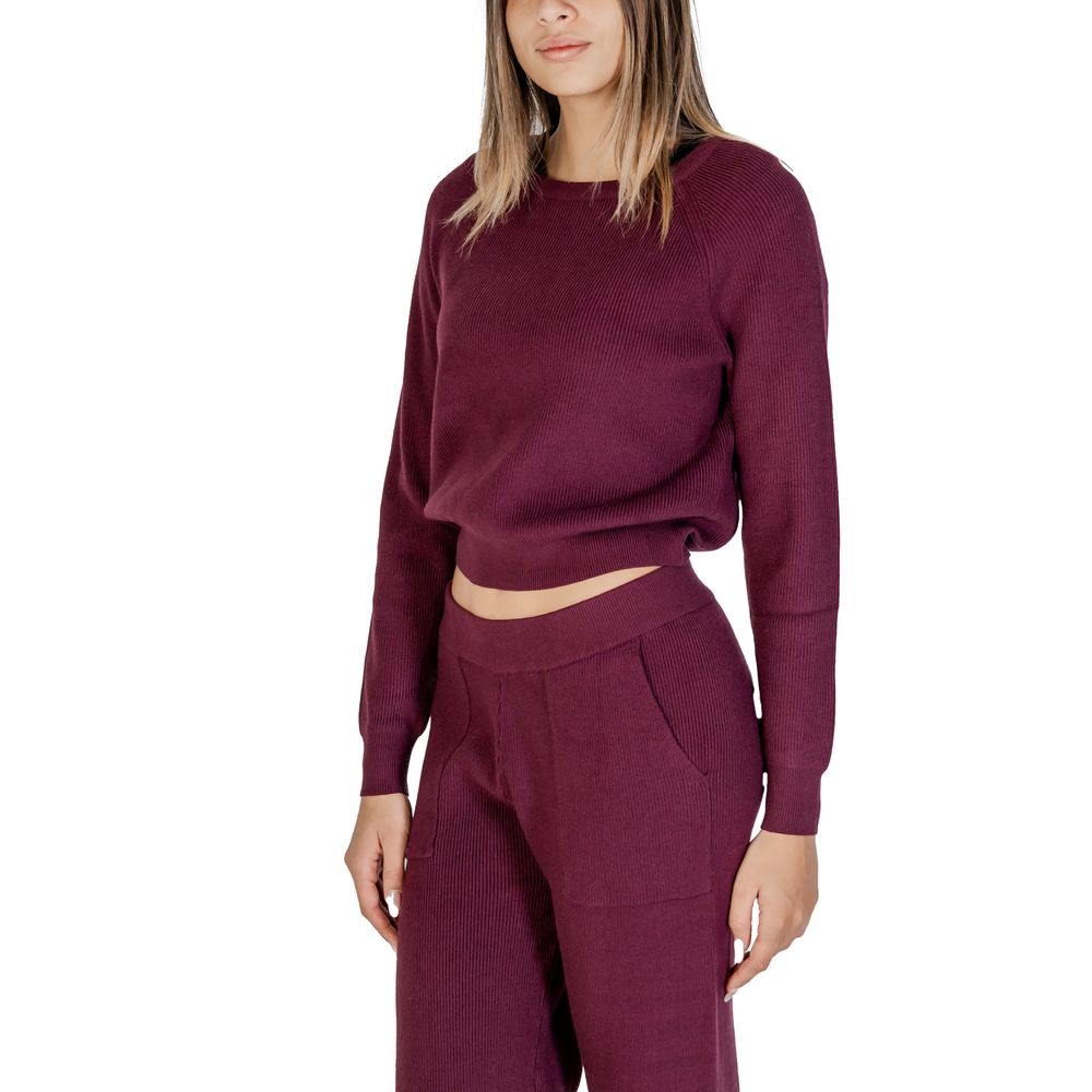 Cleré Purple Viscose Sweater for Women