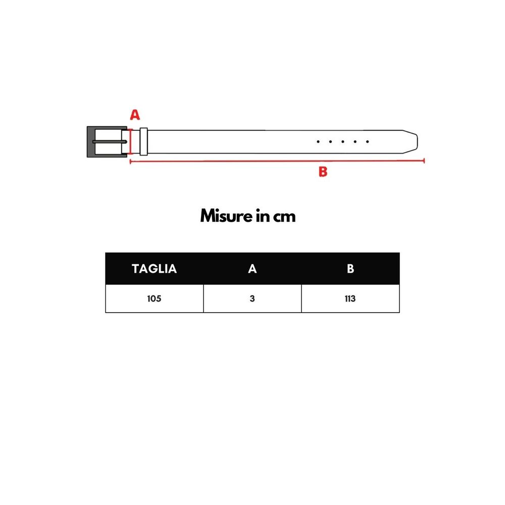 Bottega Veneta Black & Light Blue Green Reversible Leather Belt