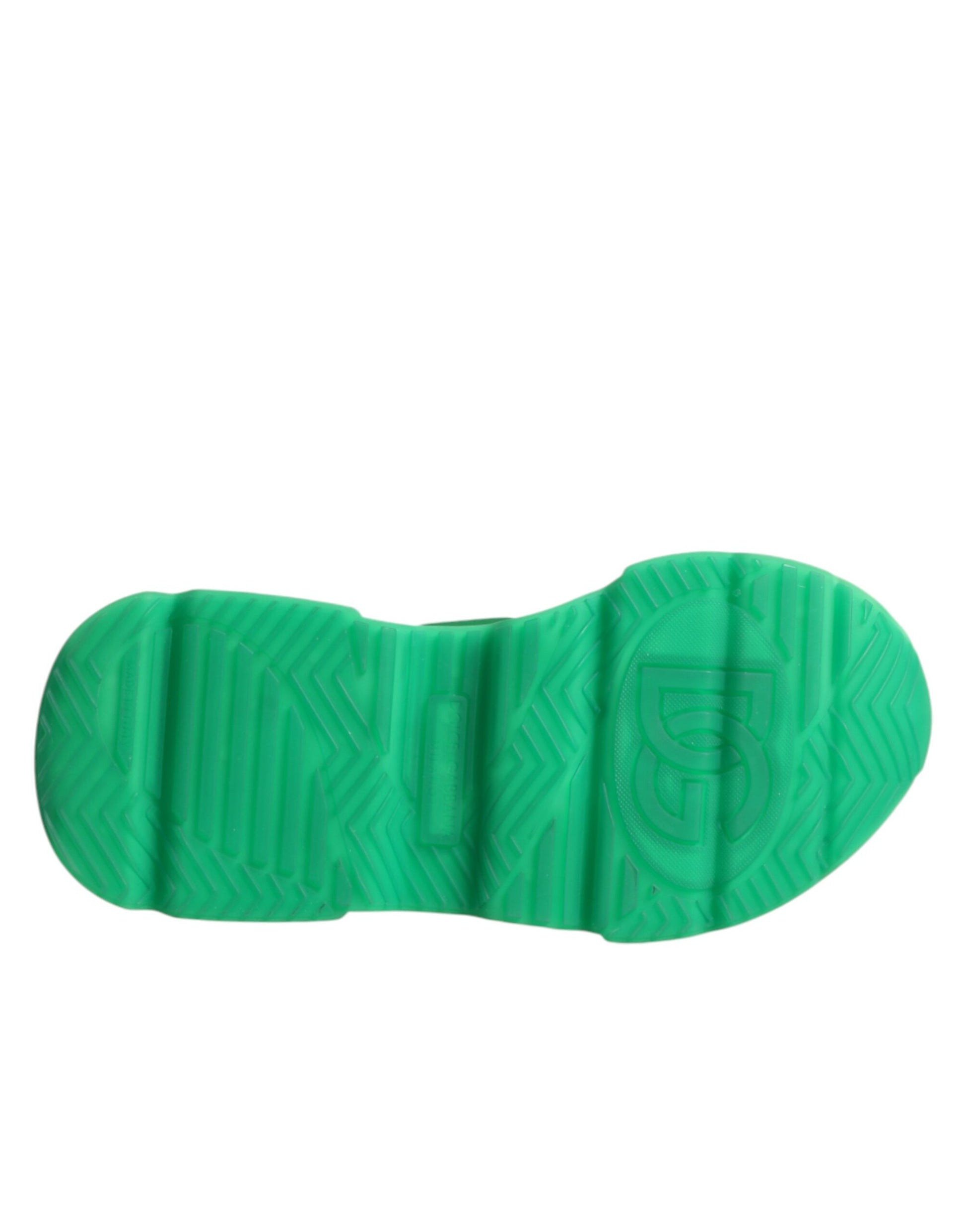 Dolce & Gabbana Multicolor Daymaster Low Top Sneakers