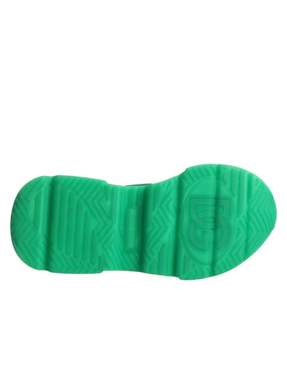 Dolce & Gabbana Multicolor Daymaster Low Top Sneakers