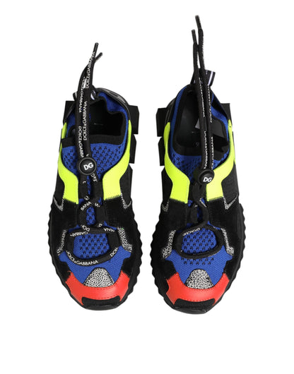 Dolce & Gabbana Multicolor Low Top Sorrento Sneakers