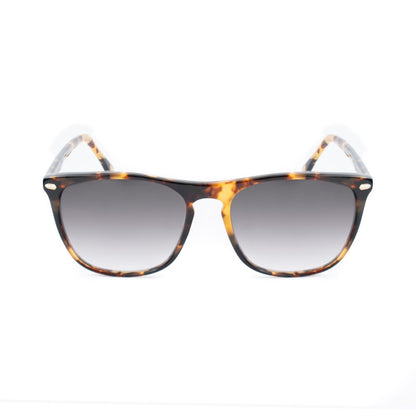 Belstaff Women’s Brown Acetate Sunglasses