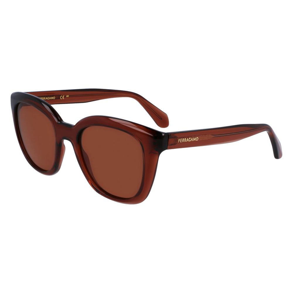 Ferragamo Women’s Sunglasses – Brown Injected Frame, Category 2 Lenses